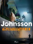Kärlekslektionen af Erik Johnsson