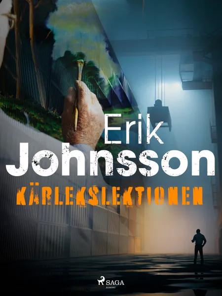 Kärlekslektionen af Erik Johnsson