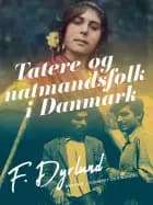Tatere og natmandsfolk i Danmark af F. Dyrlund
