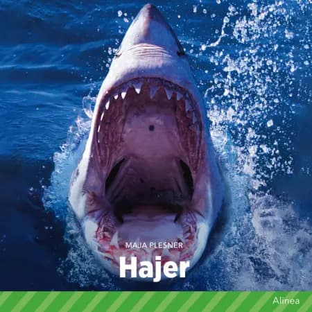 Hajer af Maja Plesner