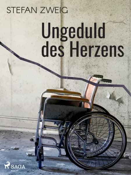 Ungeduld des Herzens af Stefan Zweig