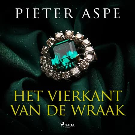 Het vierkant van de wraak af Pieter Aspe