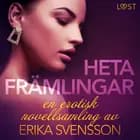 Heta främlingar - en erotisk novellsamling av Erika Svensson af Erika Svensson