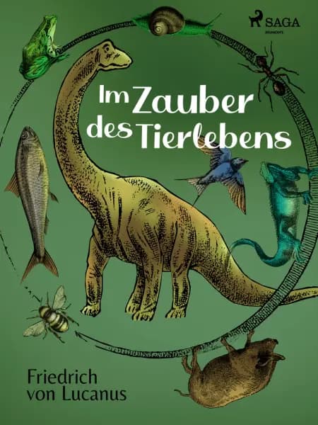 Im Zauber des Tierlebens af Friedrich von Lucanus