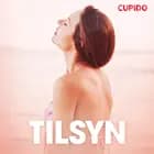 Tilsyn - erotisk novelle af Cupido