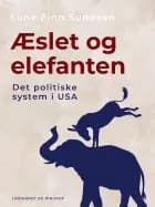 Æslet og elefanten. Det politiske system i USA