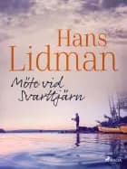 Möte vid Svarttjärn af Hans Lidman