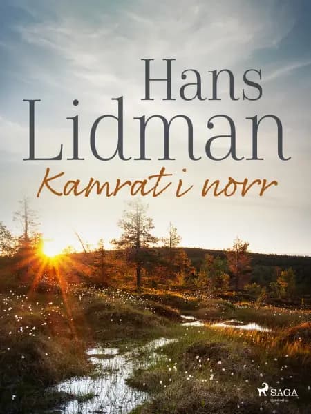 Kamrat i norr af Hans Lidman