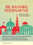 De danske stednavne. Deres tolkning og hvad de oplyser om vort lands bebyggelse og folkets kultur gennem tiderne af Johannes Steenstrup