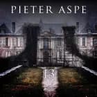 13 af Pieter Aspe