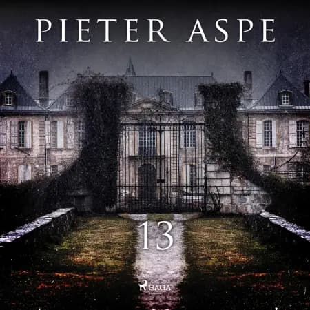 13 af Pieter Aspe