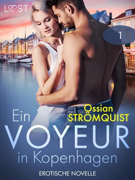 Ein Voyeur in Kopenhagen 1 - Erotische Novelle af Ossian Strömquist