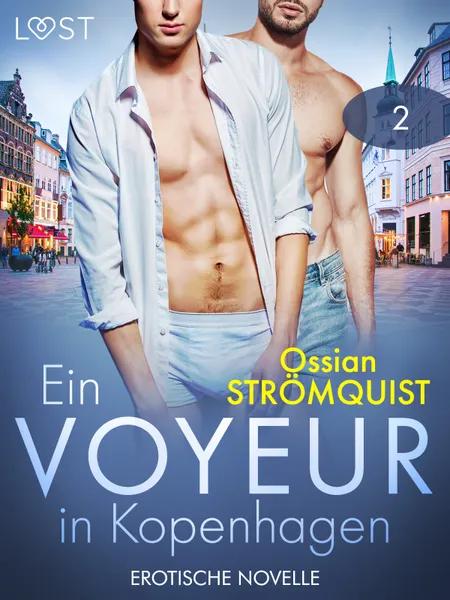 Ein Voyeur in Kopenhagen 2 - Erotische Novelle af Ossian Strömquist