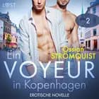 Ein Voyeur in Kopenhagen 2 - Erotische Novelle af Ossian Strömquist