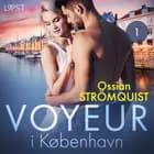 Voyeur i København 1 - erotisk novelle af Ossian Strömquist