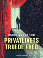 Privatlivets truede fred af Heino Døygaard