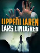 Uppföljaren af Lars Lindgren