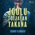 Joulu Toijalan takana af Tauno Yliruusi