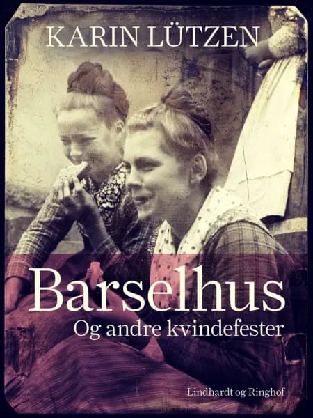 Barselhus. Og andre kvindefester af Karin Cohr Lützen