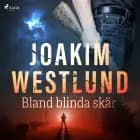 Bland blinda skär af Joakim Westlund