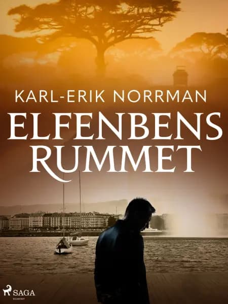 Elfenbensrummet af Karl-Erik Norrman