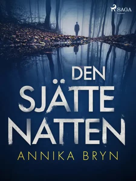 Den sjätte natten af Annika Bryn Söderström