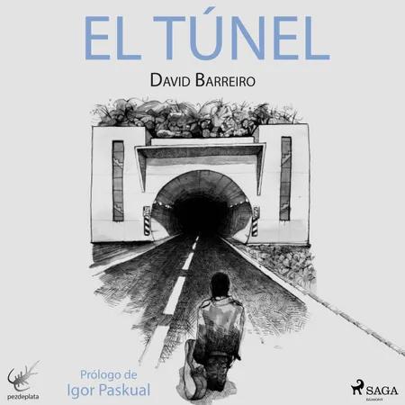 El túnel af David Barreiro
