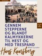 Gennem stepperne og blandt kalmykkerne til hest og med trespand. Billeder og studier af Hans Kaarsberg