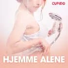 Hjemme alene - erotiske noveller af Cupido