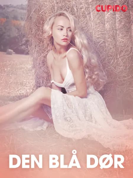 Den blå dør - erotiske noveller af Cupido