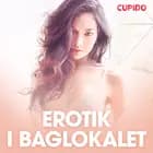 Erotik i baglokalet - erotisk novelle af Cupido