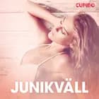 Junikväll - erotiska noveller af Cupido