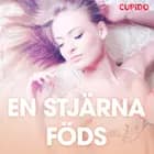En stjärna föds - erotiska noveller af Cupido