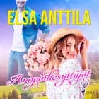 Anopinkesyttäjät af Elsa Anttila