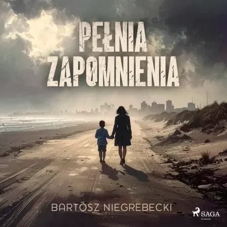 Pełnia zapomnienia af Bartosz Niegrebecki
