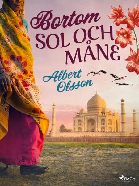 Bortom sol och måne af Albert Olsson