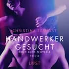 Handwerker gesucht - Teil 2: Erotische Novelle af Christina Tempest