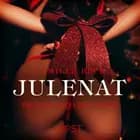 Julenat - erotisk novellesamling af Camille Bech