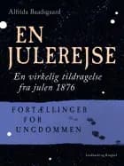 En julerejse. En virkelig tildragelse fra julen 1876. Fortællinger for ungdommen af Alfrida Baadsgaard