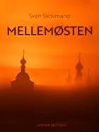 Mellemøsten af Sven Skovmand