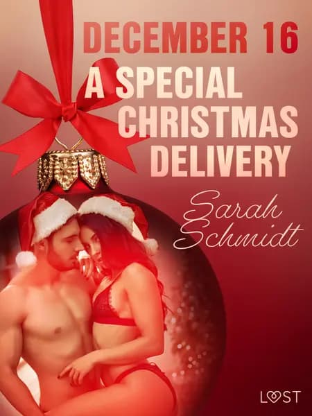 December 16: A Special Christmas Delivery - An Erotic Christmas Calendar af Sarah Schmidt