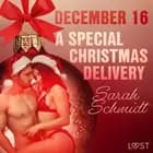 December 16: A Special Christmas Delivery - An Erotic Christmas Calendar af Sarah Schmidt