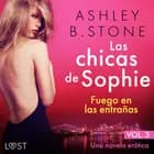 Las chicas de Sophie 3: Fuego en las entrañas - Una novela erótica af Ashley B. Stone