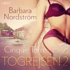 Togrejsen 2 - Cinque Terre af Barbara Nordström
