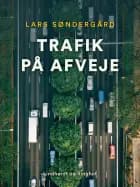 Trafik på afveje af Lars Søndergård