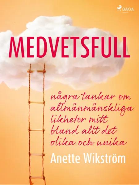Medvetsfull: några tankar om allmänmänskliga likheter mitt bland allt det olika och unika af Anette Wikström