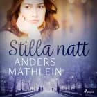 Stilla natt af Anders Mathlein