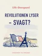 Revolutionen lyser - svagt? af Uffe Østergård