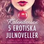 Kalendersex - 5 erotiska julnoveller af Malin Edholm, Lisa Vild og Katja Slonawski
