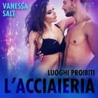 Luoghi proibiti: l’acciaieria - Breve racconto erotico af Vanessa Salt